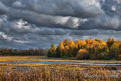 Autumn Along Irish Creek_23104.jpg - Photographed near Jasper, Ontario, Canada.